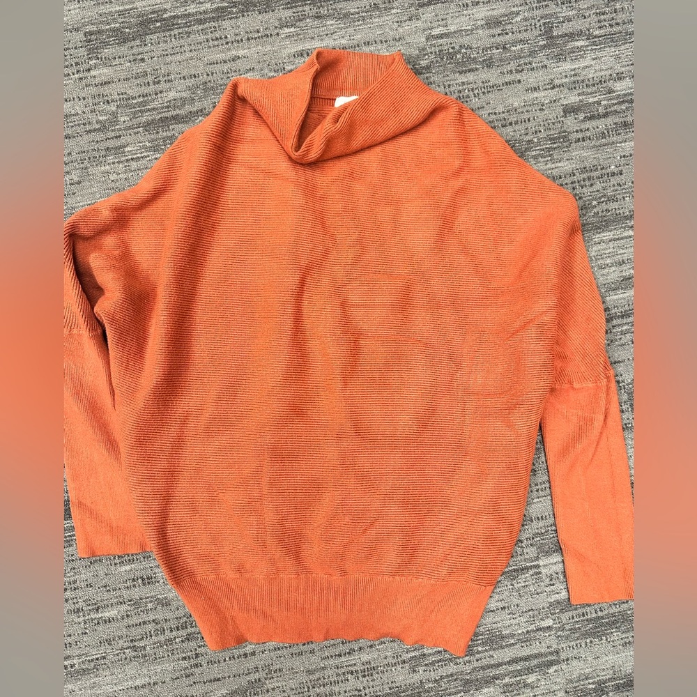 blue Ivy maternity sweater